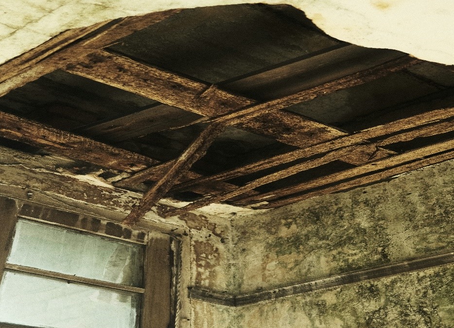 Mould Assessment